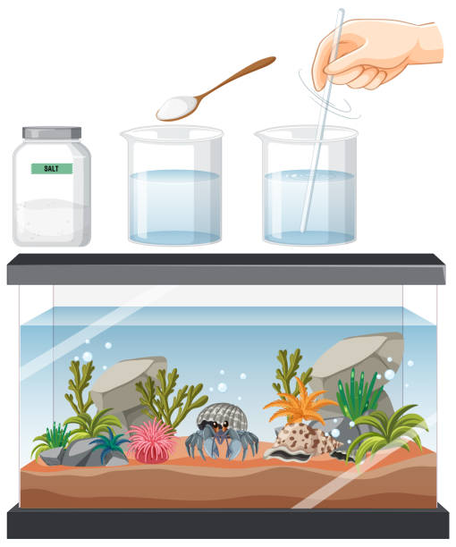illustrations, cliparts, dessins animés et icônes de aquarium avec poissons et décorations sur fond blanc - fish tank