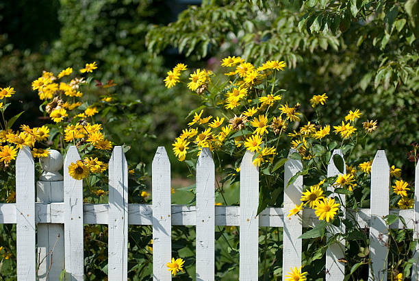 escena de verano soleado suburbano - residential district community small town america maine fotografías e imágenes de stock