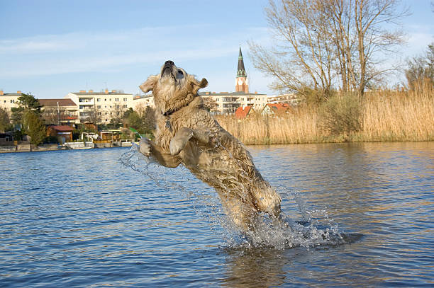 Jump ! - Photo