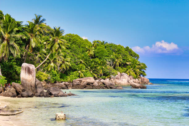 istock Anse Royale Beach and views, Seychelles 1468681143