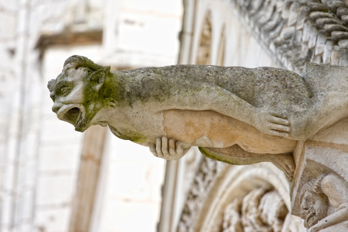 Gargoyle from Saint Pierre Cathedral, Poitiers, France