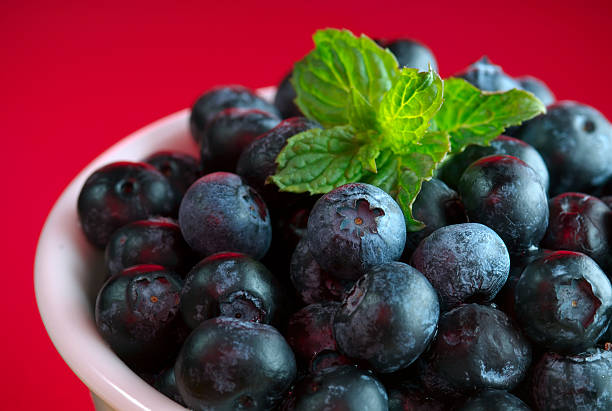Blueberries in bowl on red background stock photo