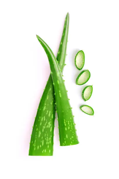 Photo of Aloe vera two leaves with slice. beauty skin care concept.