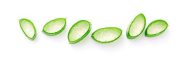 istock Group aloe vera slice isolated on white background. 1468694524