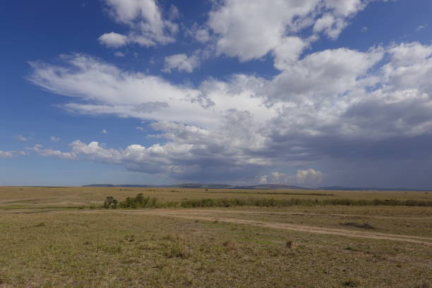 istock Savannah in Kenya 1468696299
