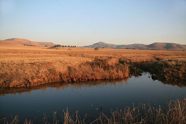 Wakkerstroom - fotografia de stock