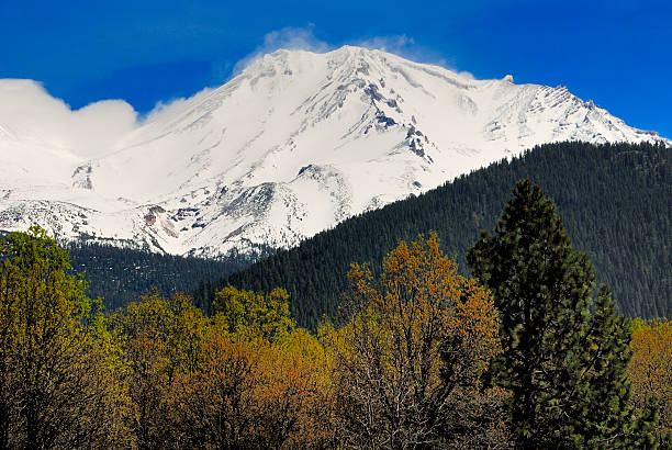 istock Mt. Shasta in Spring, Northern California 146869945
