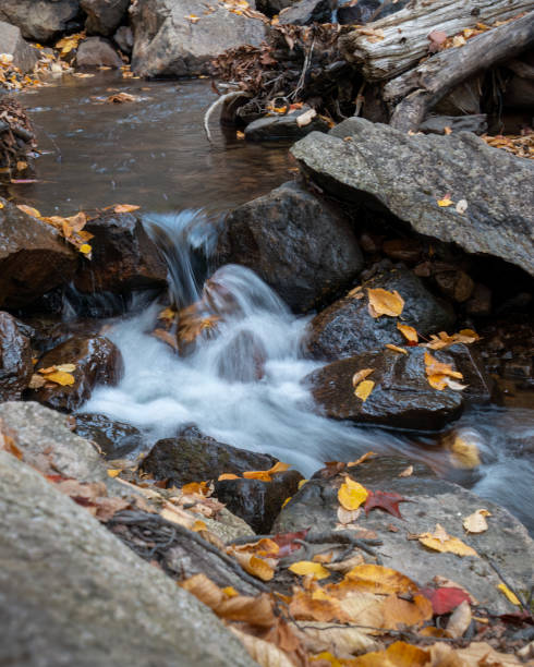 istock Waterfalls among autumn leaves on Mont Tremblant. Quebec. Canada. Vertical format. 1468700777
