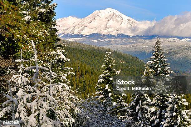 Pines I Mount Shasta W Śniegu Północna Kalifornia - zdjęcia stockowe i więcej obrazów Bez ludzi - Bez ludzi, Chmura, Fotografika