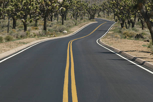 Desert Road – Foto