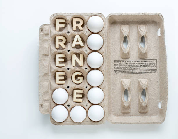 istock Free Range Egg Carton with Word and White Eggs 1468703957