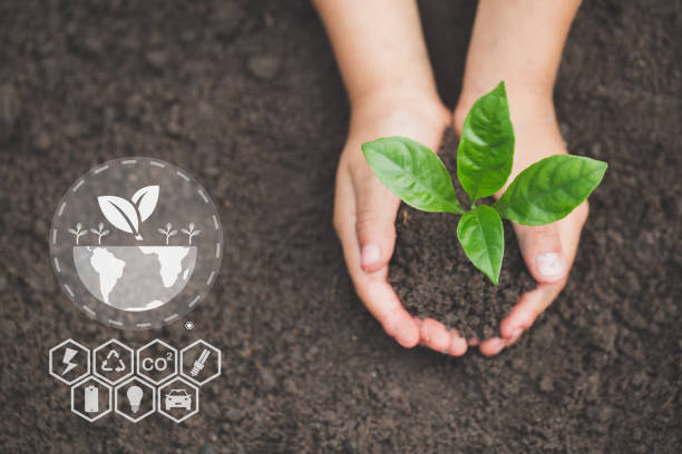istock Hand holding seedlings with environment icons over the Network connection on nature background, Technology ecology concept. 1468704376