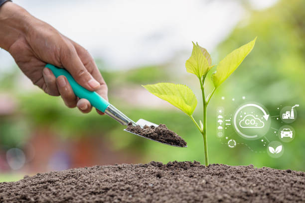 istock Hand planting trees with technology of renewable resources to reduce pollution. ESG icon concept, environmental, social and sustainable business governance. 1468704381