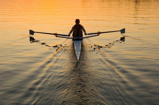 Silhouette of rowers on Connecticut's Bantam Lake at sunset, with gull flying by