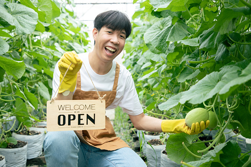 Farmer checking the quality of the melon at the melon farm. Smiling  handsome Asian male farmer in apron holding woodle board with open text in organic melon farm