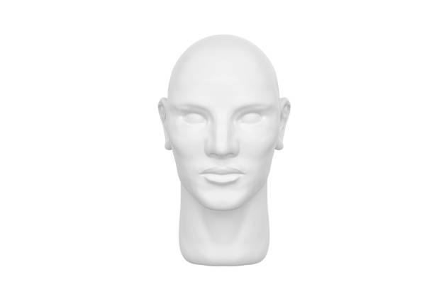 istock 3D render of human head Isolated on white background, front view. 1468712863