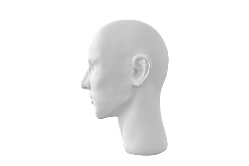 3D rendering of human head Isolated on white background, side view.