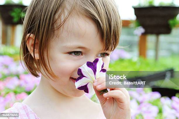 Photo libre de droit de Sentir Les Fleurs banque d'images et plus d'images libres de droit de Allergie - Allergie, Odeur agréable, Pétunia