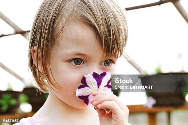 A Cheirar As Flores - Fotografias de stock e mais imagens de 2-3 Anos - 2-3 Anos, Beleza, Beleza natural