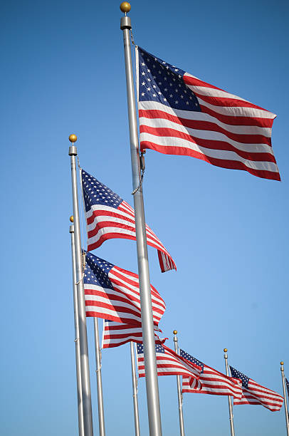 The United States of America flags stock photo