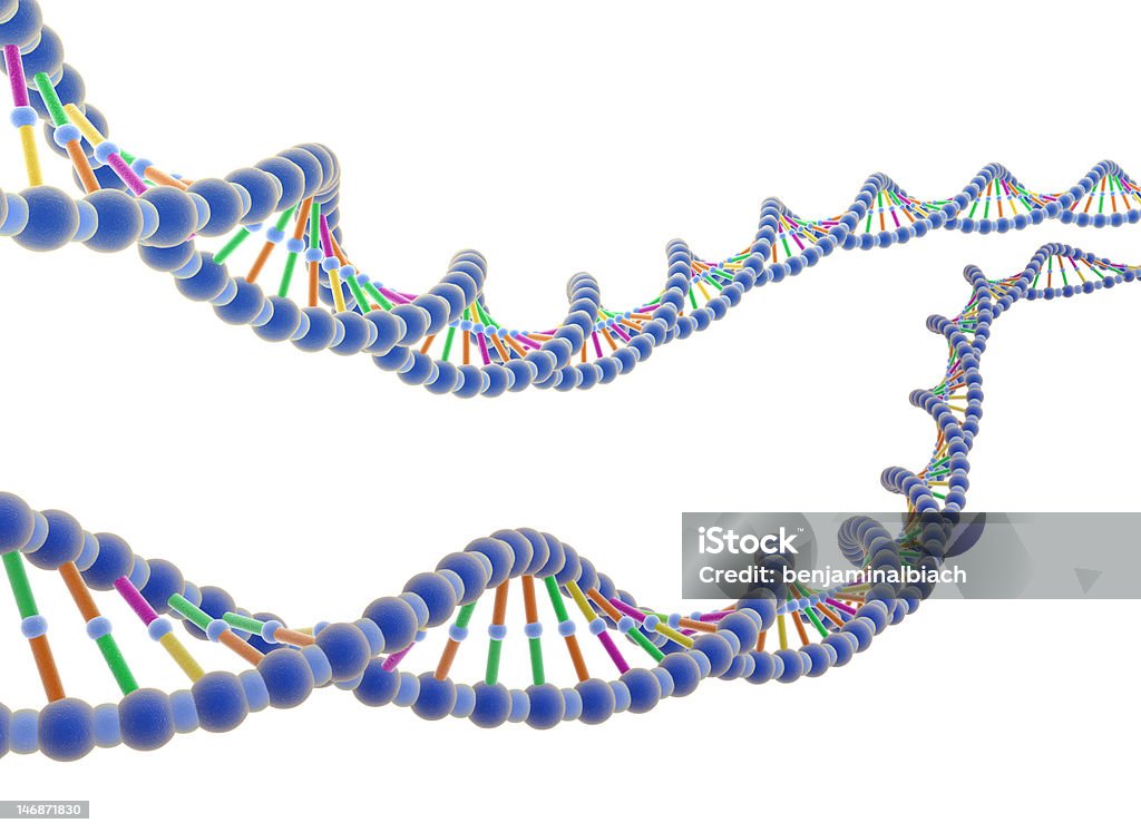 ADN 3D DNA molecule (Sodium DeoxyriboNucleic) DNA Stock Photo