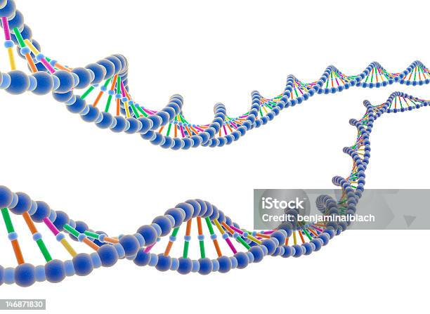 Adn Stock Photo - Download Image Now - DNA, White Background, Chromosome