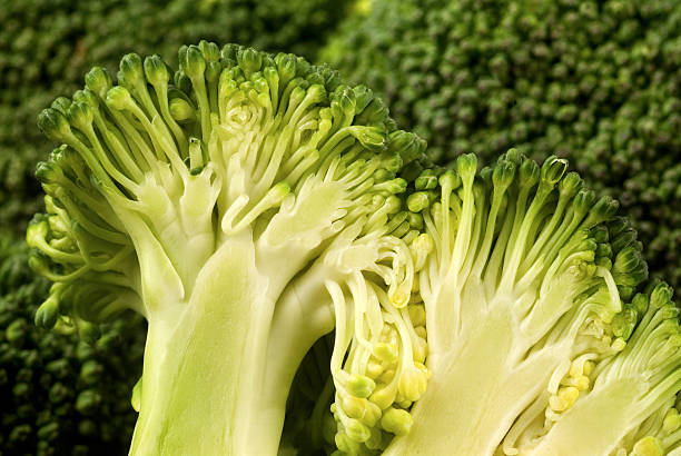 Brocoli - Photo