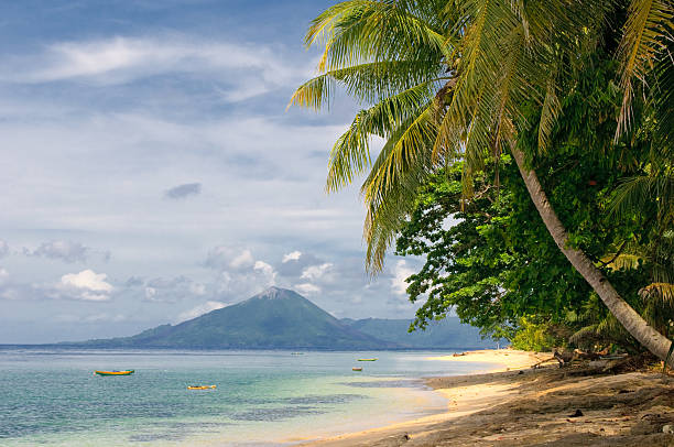 istock tropical island - sea, sky and palm trees 146872121