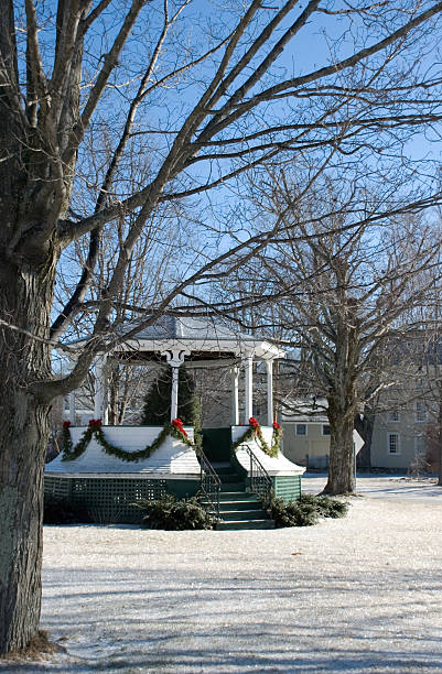 istock Christmas Bandstand 146872127