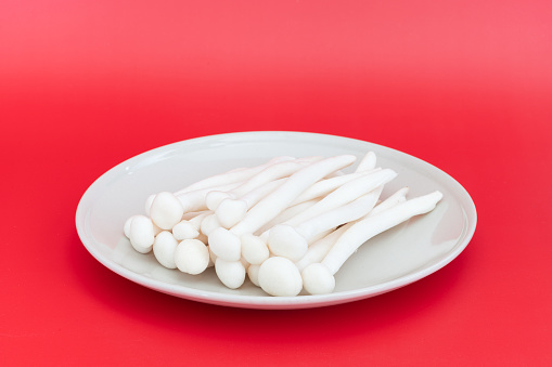 White mushrooms on a red background