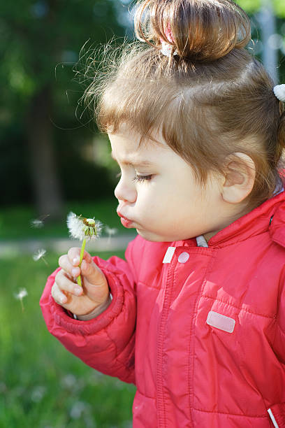 istock little girl in a red jacket with dandelion 146872283