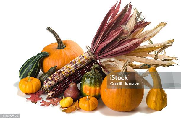 Isolato Autunno Accordo - Fotografie stock e altre immagini di Foglia - Foglia, Pannocchia, Zucca legenaria