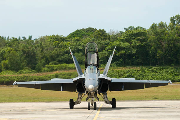 fa 18d hornet - f/a 18 ストックフォトと画像