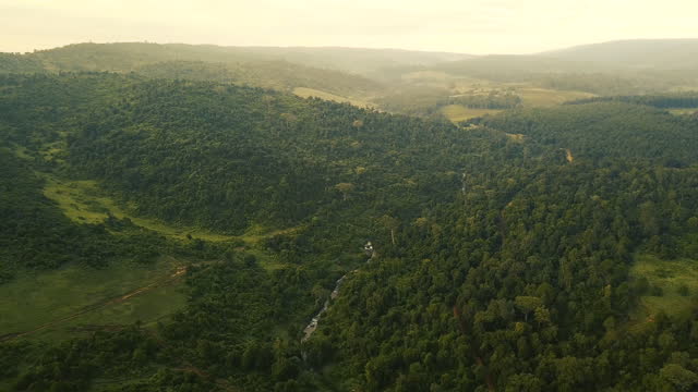 4k aerial view of the Mau Forest in the Rift Valley, Kenya, East Africa.