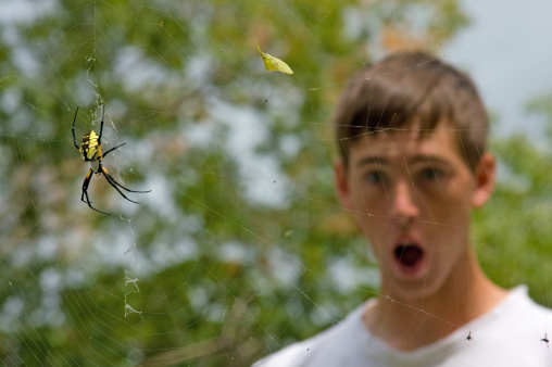 A Spider and Boy with Surprised Look