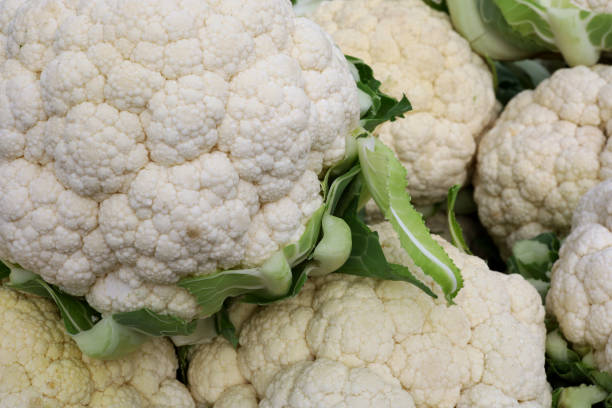 istock organic and fresh cauliflower on the market stall 1468736444