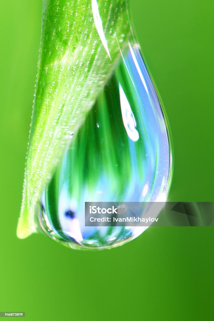 water drop water drop Super macro Backgrounds Stock Photo