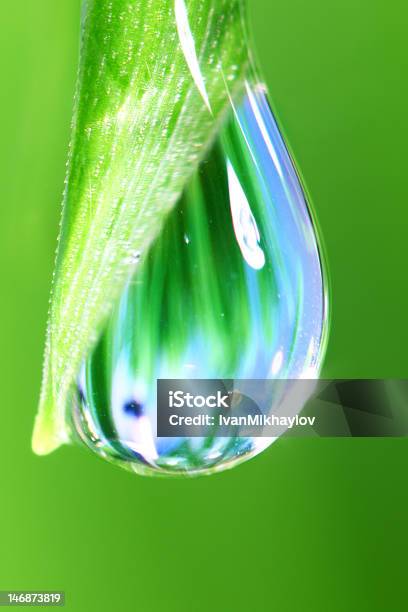 Water Drop Stock Photo - Download Image Now - Backgrounds, Blade of Grass, Blue