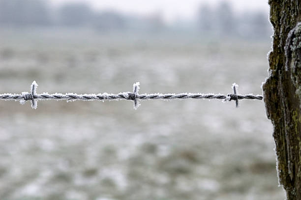 Frosty wire stock photo