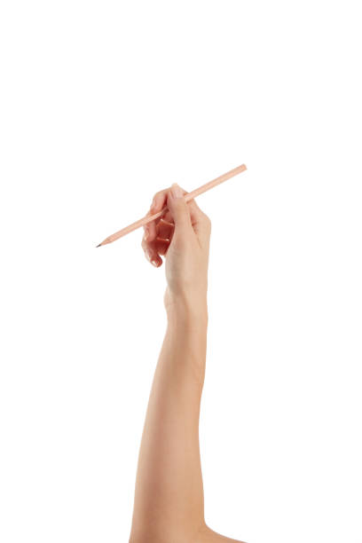 istock Young Girl Keeping Pencil On White Background 1468740225