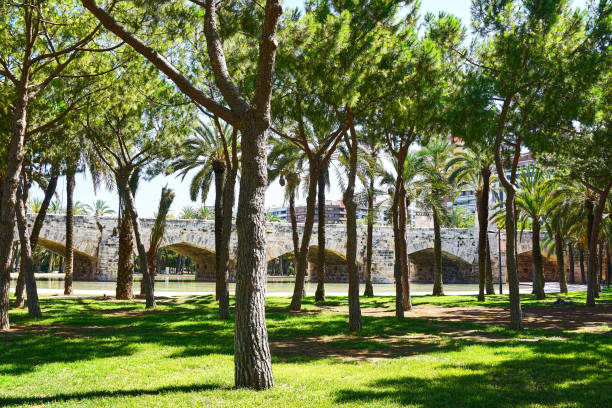A beautiful view from Turia Park in Valencia, Spain.