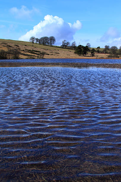 istock Lake ripples at Burnham-On-Sea 146874709