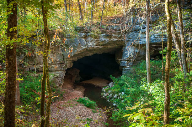 istock Cave with Stream at Russell Cave National Monument 1468750193