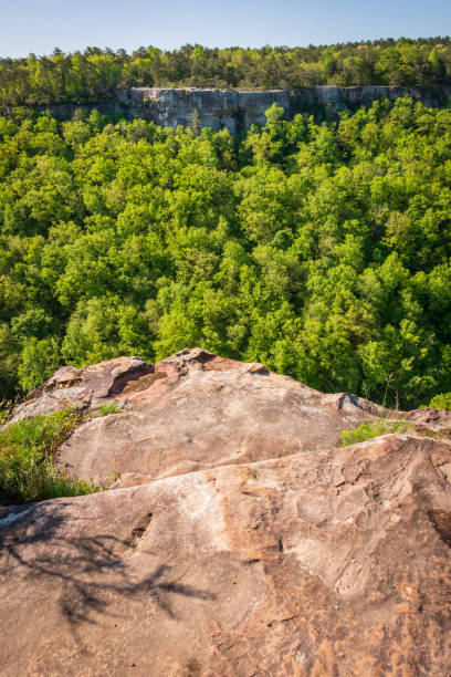 istock Little River Canyon National Preserve 1468751207