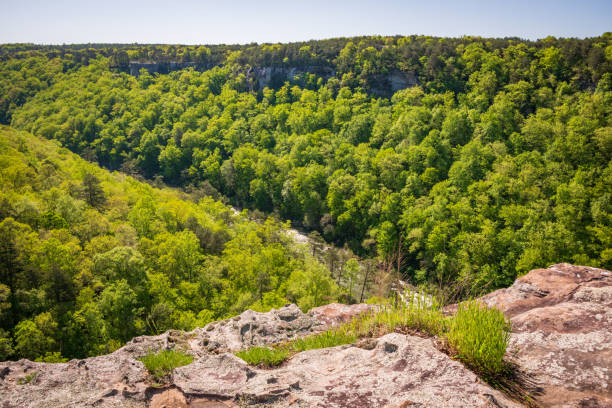 istock Little River Canyon National Preserve 1468753631