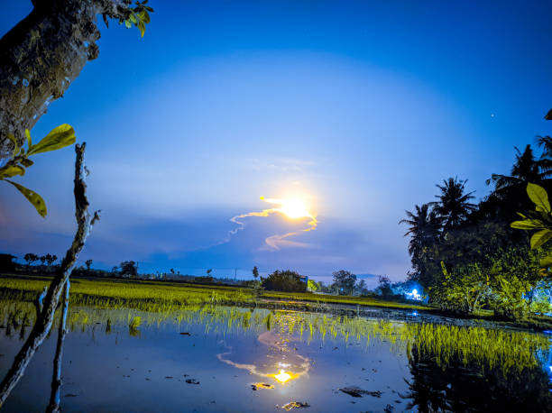 istock the sun is going down in the morning 1468753797