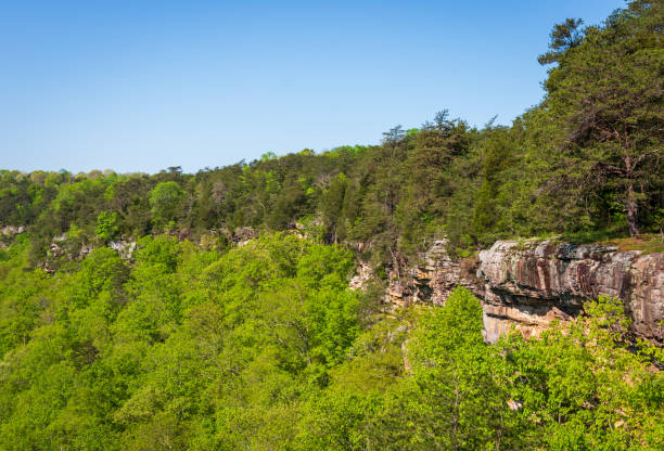 istock Ridged Cliffs at Little River Canyon National Preserve 1468753857