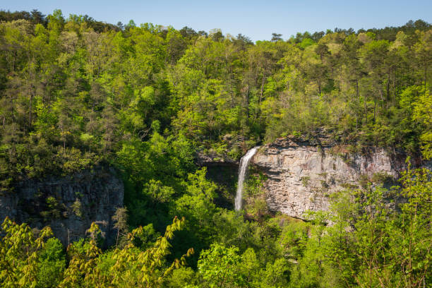 istock Waterfall in the Forest at Little River Canyon National Preserve 1468754618