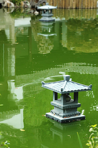 istock Oriental Lamp on Lake 146875739