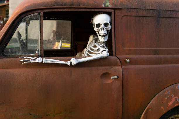 Human skeleton car driver stock photo